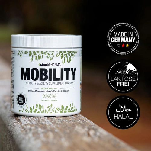 #Sinob Complete Mobility