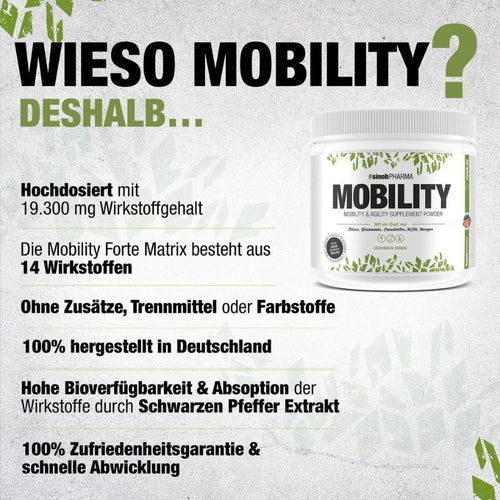 #Sinob Complete Mobility