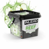 Inlead REEF Pre-Workout Booster, 440g