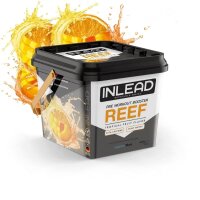 Inlead REEF Pre-Workout Booster, 440g Tropical Fruit