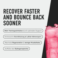 ESN Endurance Line Perfect Recovery Drink, 1320g