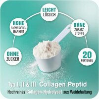 All Stars Collagen Peptide - 300 g Dose