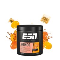 ESN Aminos 400g